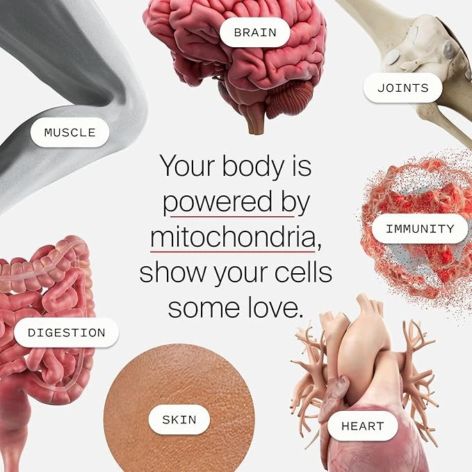 TIME-LINE. Mitopure Urolithin A в мягких капсулах (USA)