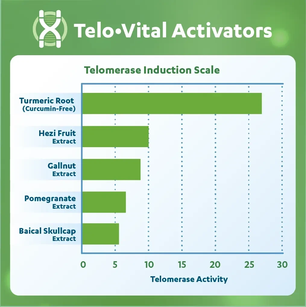 Touchstone Essentials. Telo-vital (USA)
