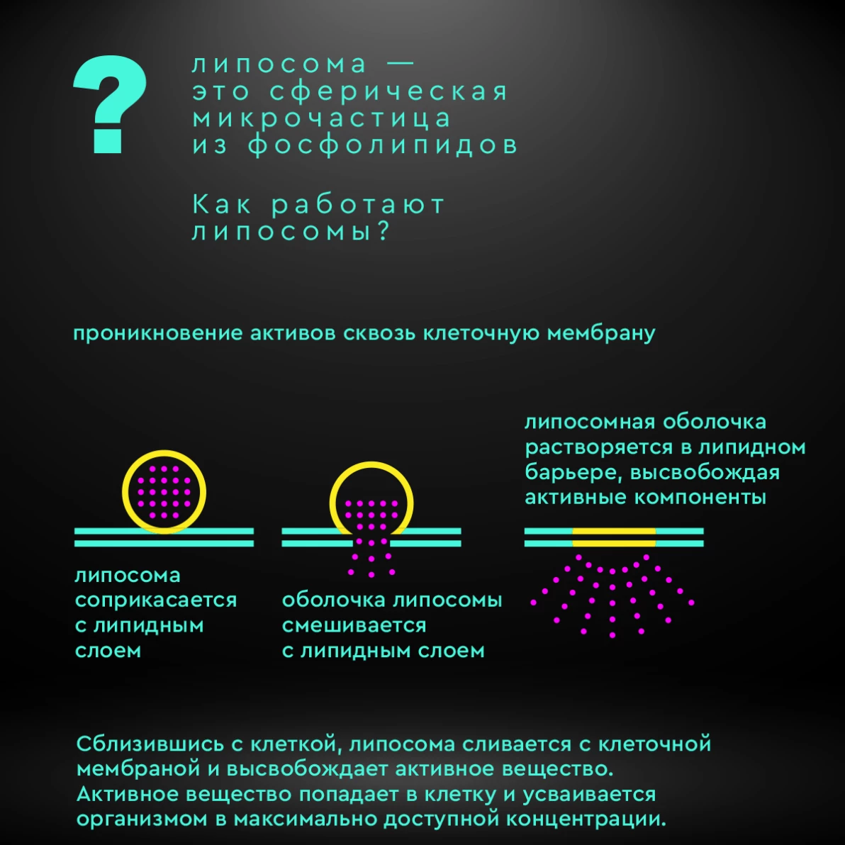 Липосомальный витамин D